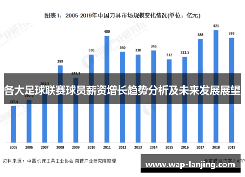 各大足球联赛球员薪资增长趋势分析及未来发展展望