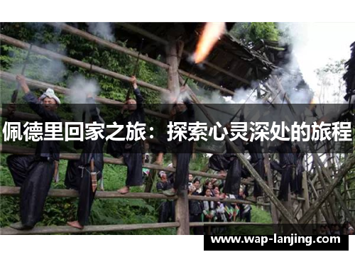 佩德里回家之旅：探索心灵深处的旅程