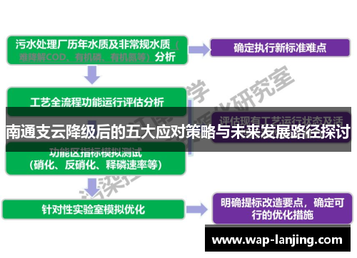 南通支云降级后的五大应对策略与未来发展路径探讨