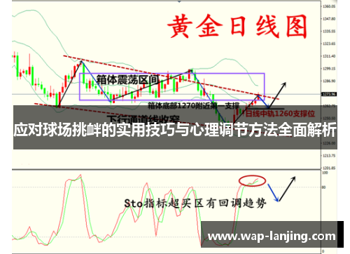 应对球场挑衅的实用技巧与心理调节方法全面解析