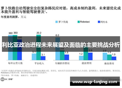 利比亚政治进程未来展望及面临的主要挑战分析