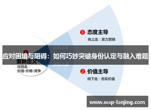 应对困境与阻碍：如何巧妙突破身份认定与融入难题