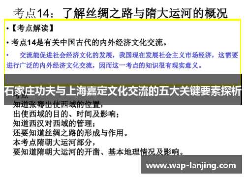 石家庄功夫与上海嘉定文化交流的五大关键要素探析