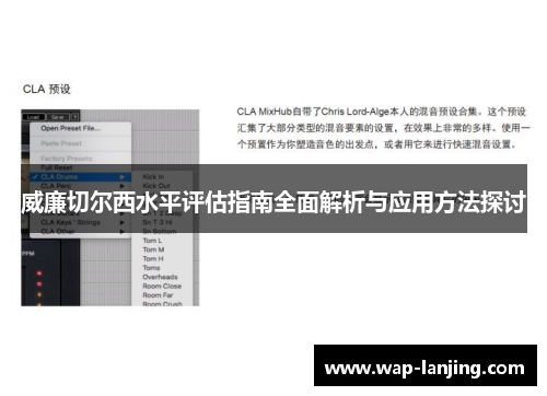 威廉切尔西水平评估指南全面解析与应用方法探讨